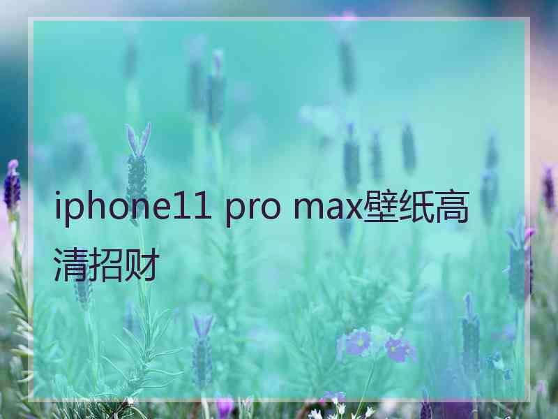 iphone11 pro max壁纸高清招财