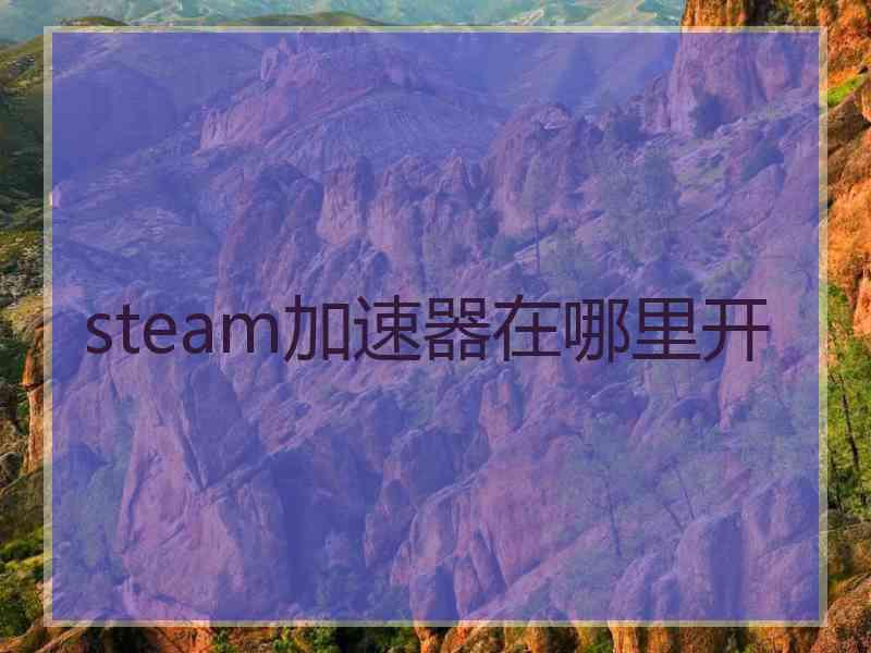 steam加速器在哪里开