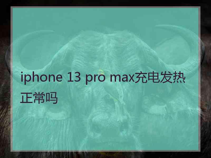 iphone 13 pro max充电发热正常吗