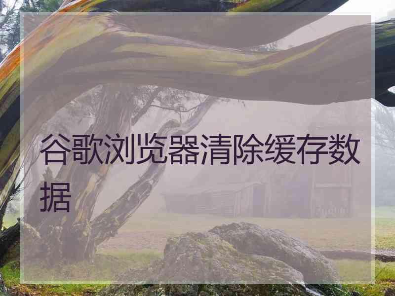 谷歌浏览器清除缓存数据