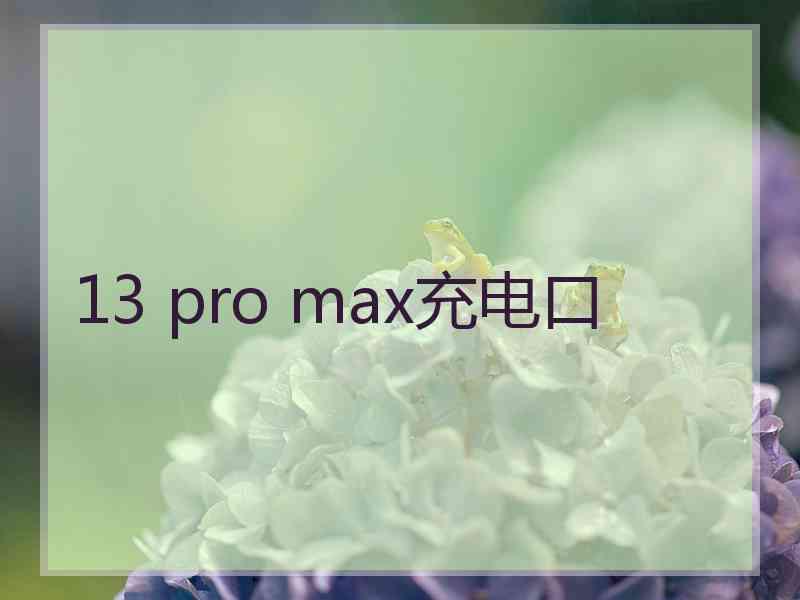 13 pro max充电口