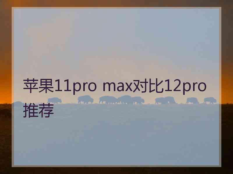 苹果11pro max对比12pro推荐