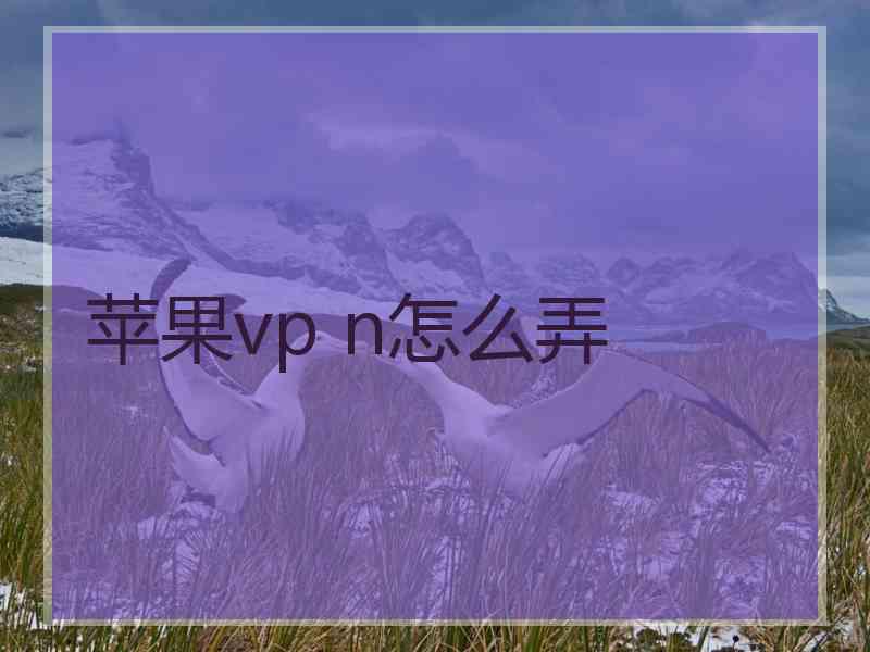 苹果vp n怎么弄