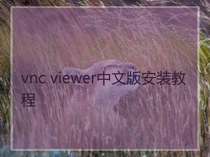 vnc viewer中文版安装教程