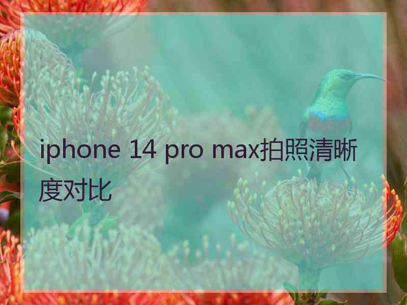 iphone 14 pro max拍照清晰度对比