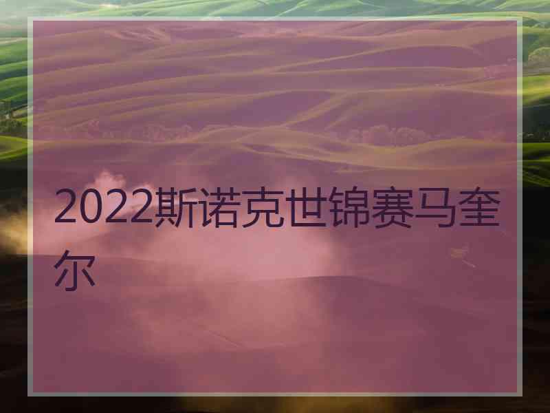 2022斯诺克世锦赛马奎尔