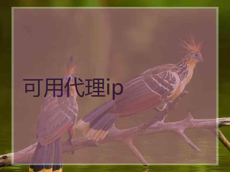 可用代理ip