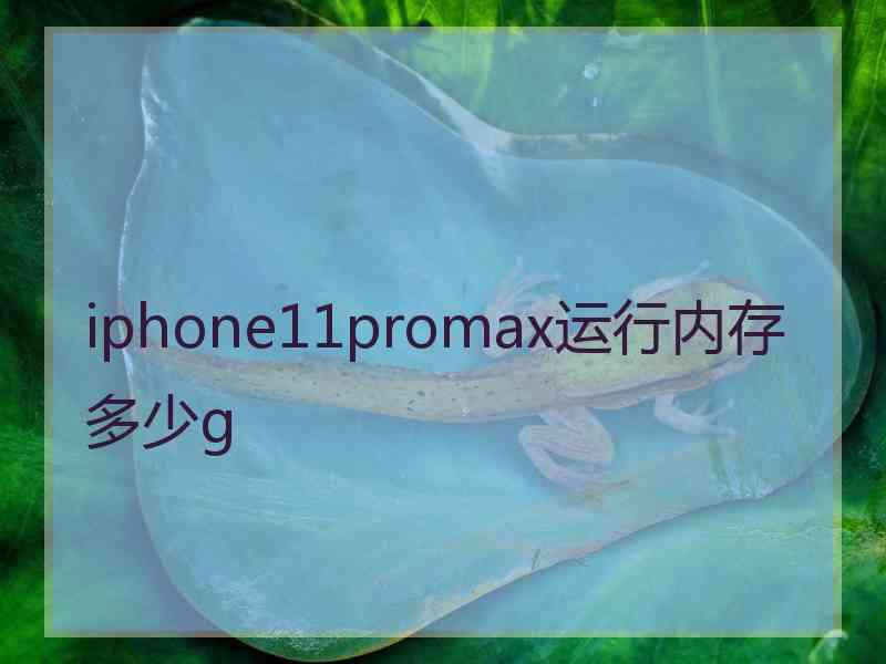 iphone11promax运行内存多少g