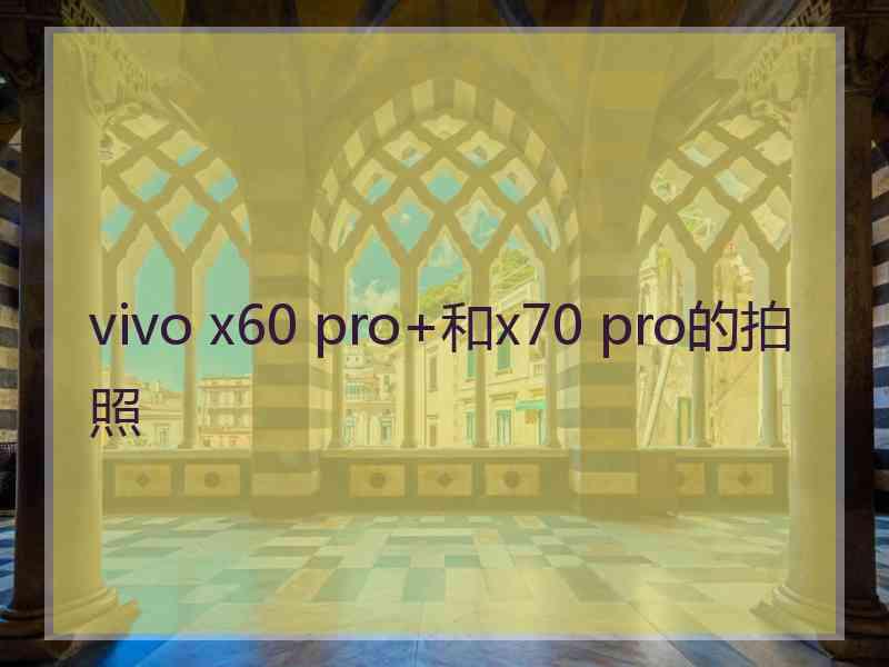 vivo x60 pro+和x70 pro的拍照