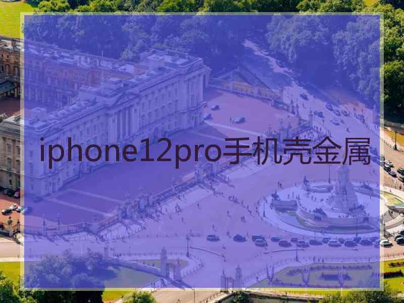 iphone12pro手机壳金属