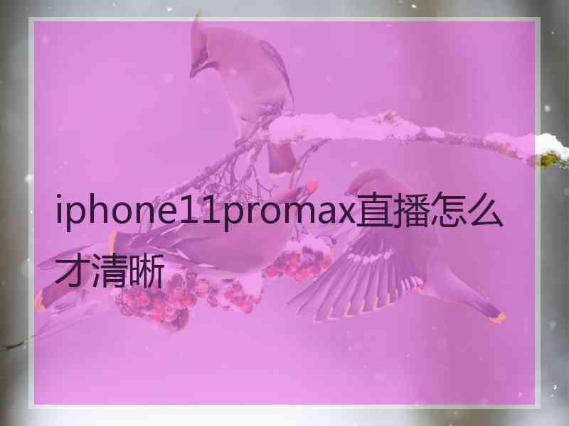 iphone11promax直播怎么才清晰