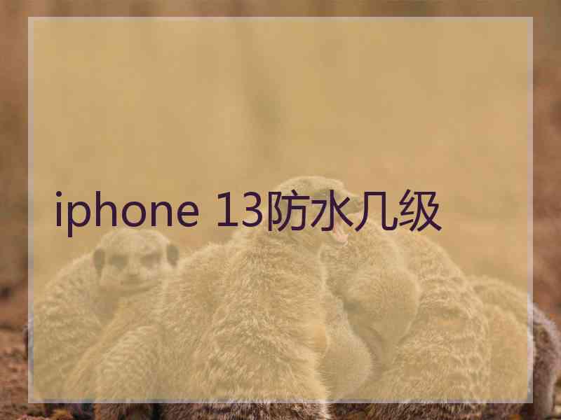 iphone 13防水几级