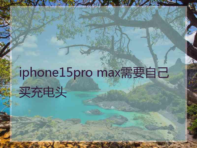 iphone15pro max需要自己买充电头