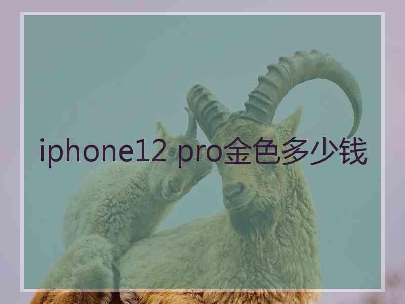 iphone12 pro金色多少钱