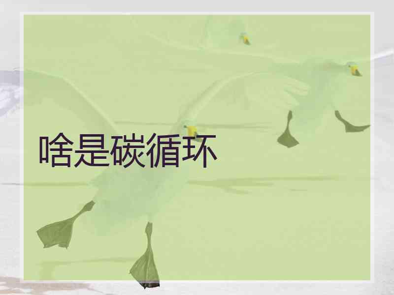 啥是碳循环