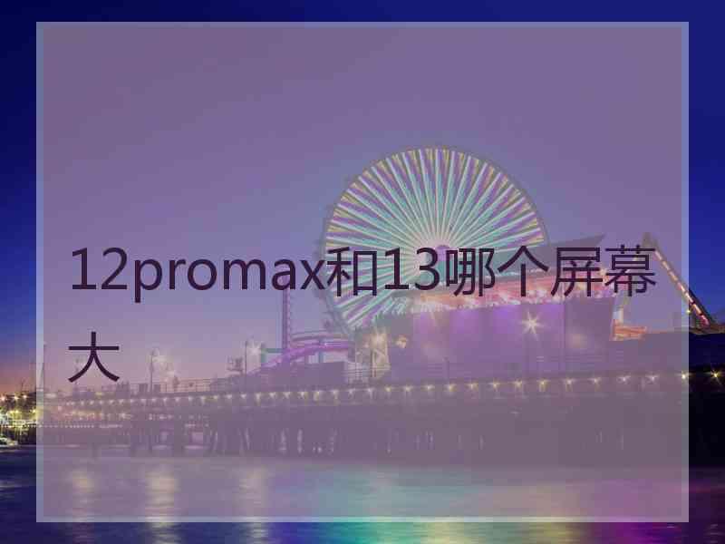 12promax和13哪个屏幕大