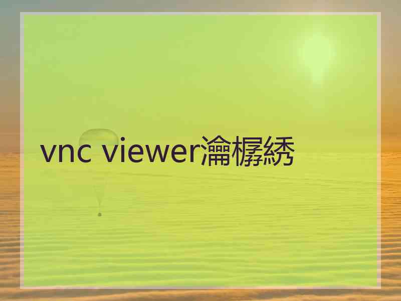 vnc viewer瀹樼綉