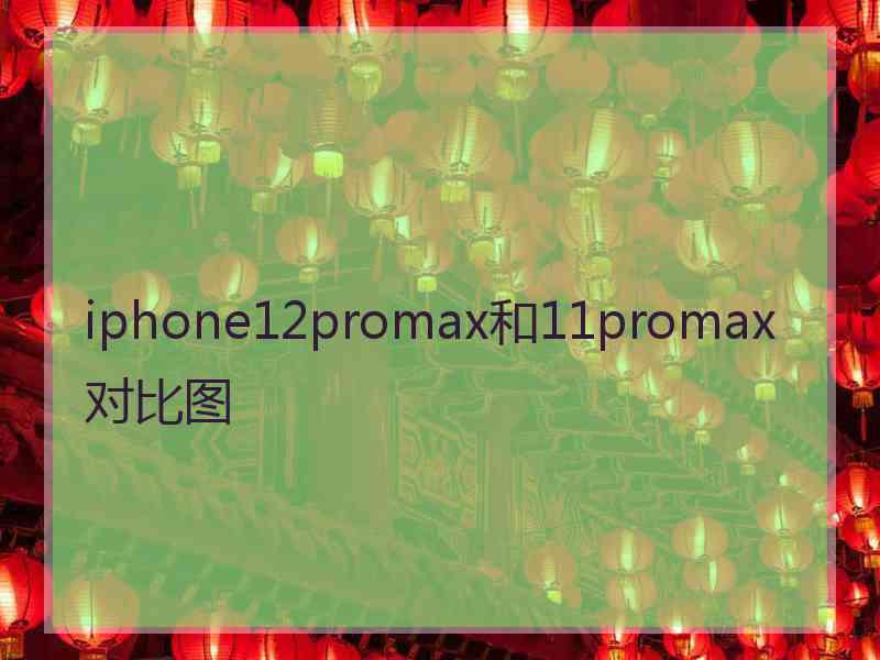 iphone12promax和11promax对比图