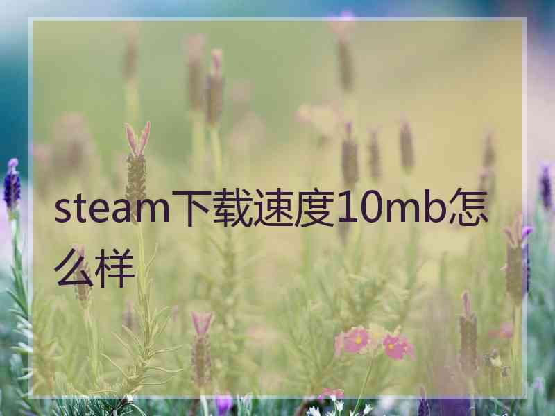 steam下载速度10mb怎么样