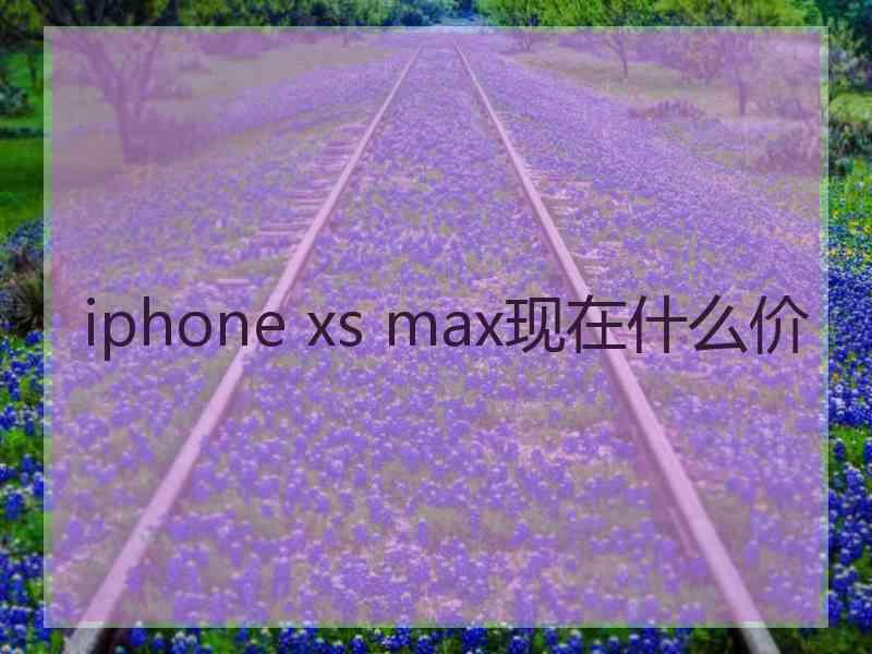 iphone xs max现在什么价