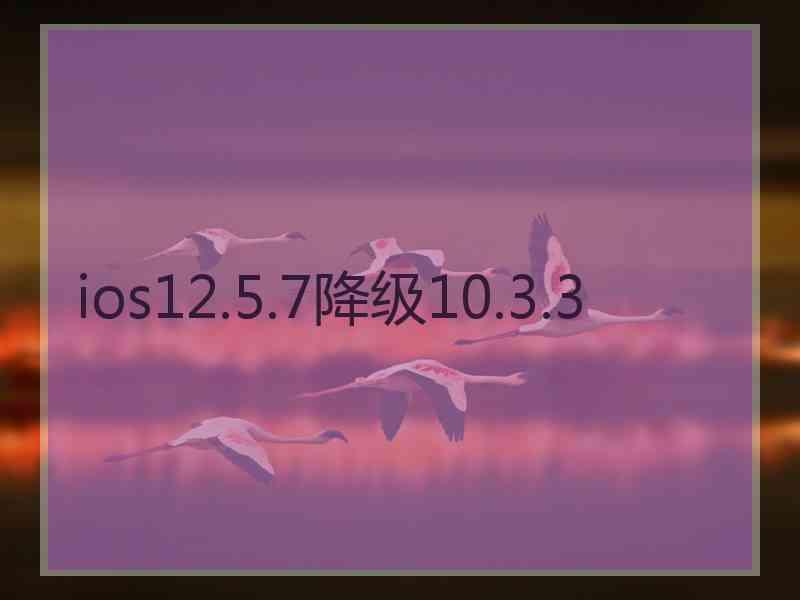 ios12.5.7降级10.3.3