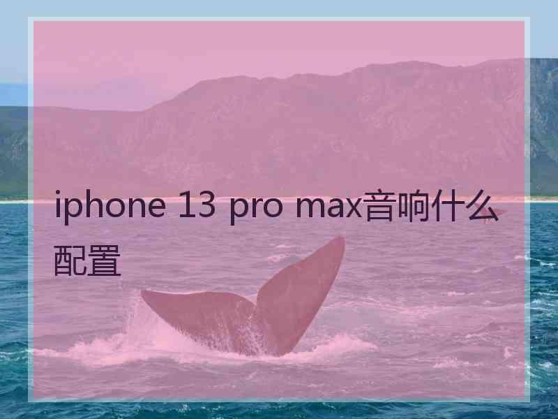 iphone 13 pro max音响什么配置