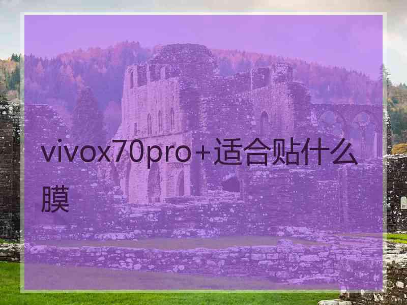 vivox70pro+适合贴什么膜