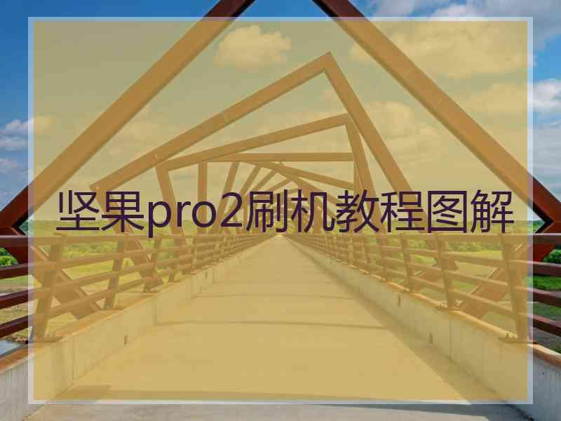 坚果pro2刷机教程图解