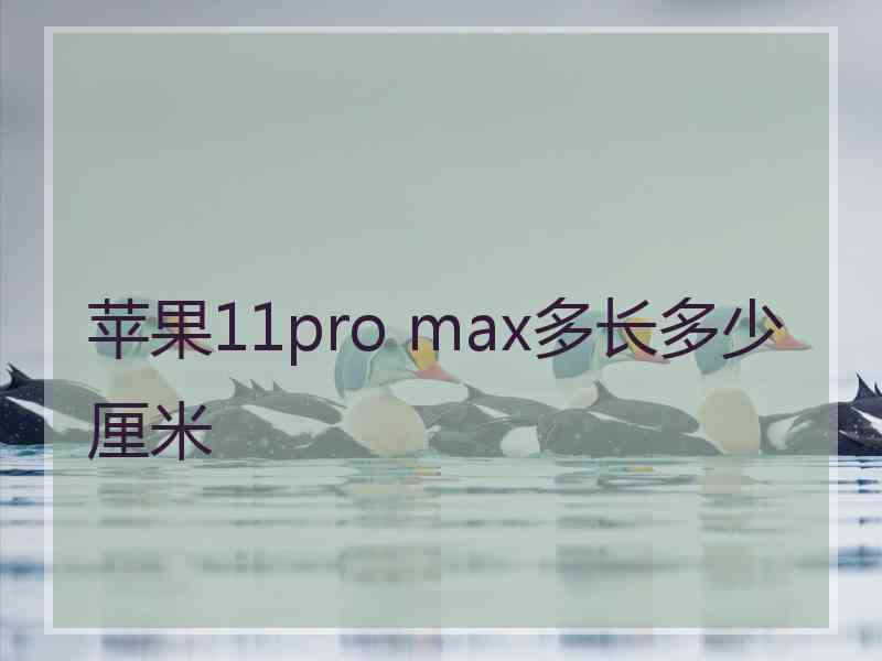 苹果11pro max多长多少厘米