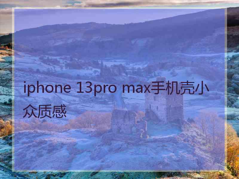 iphone 13pro max手机壳小众质感