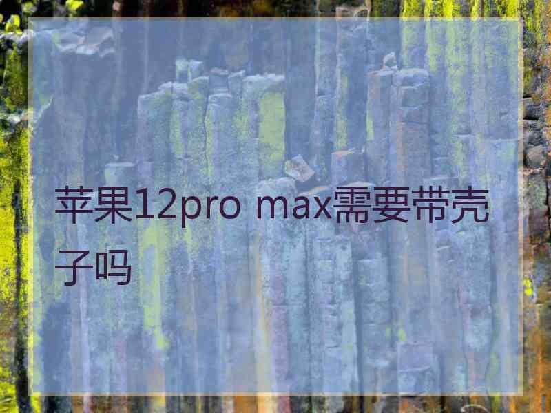 苹果12pro max需要带壳子吗