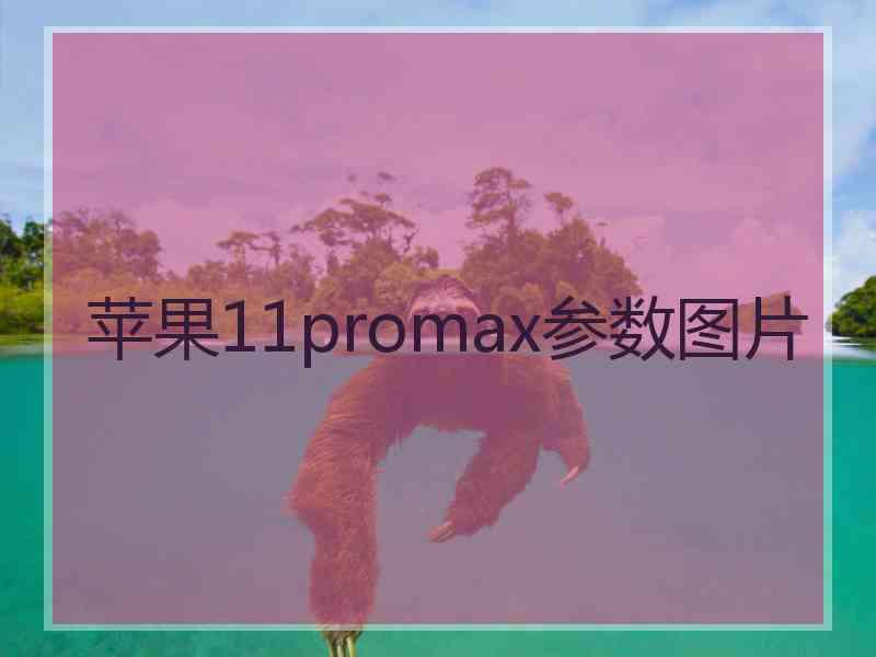 苹果11promax参数图片