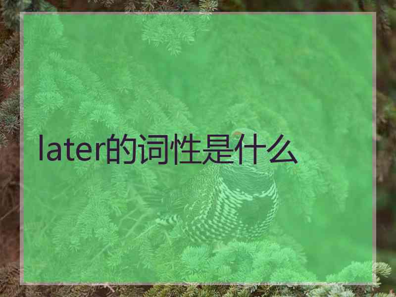 later的词性是什么