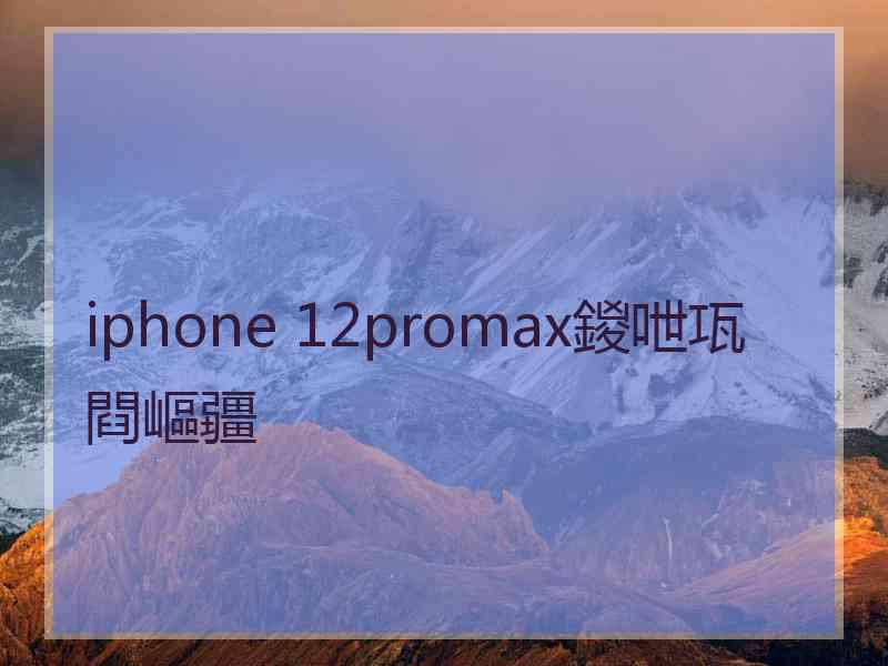 iphone 12promax鍐呭瓨閰嶇疆