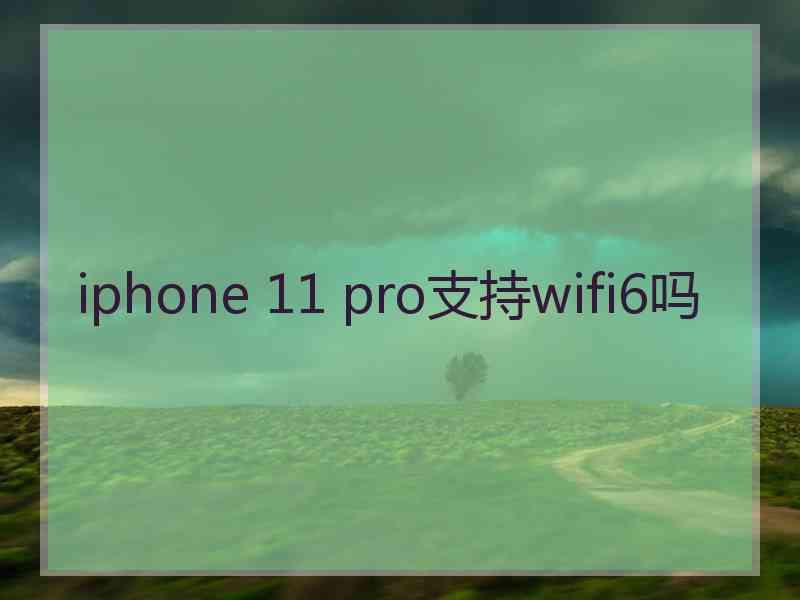 iphone 11 pro支持wifi6吗