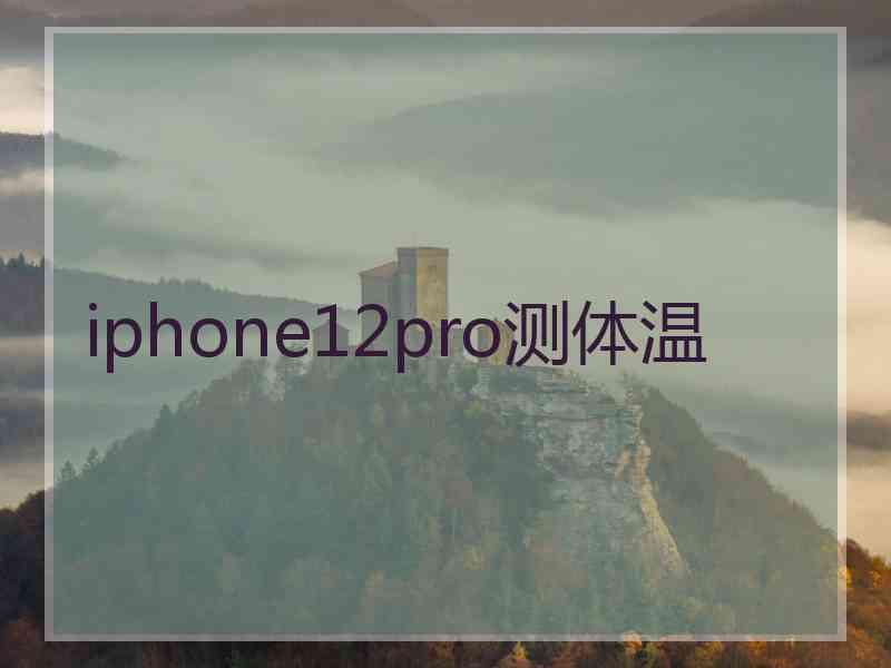 iphone12pro测体温