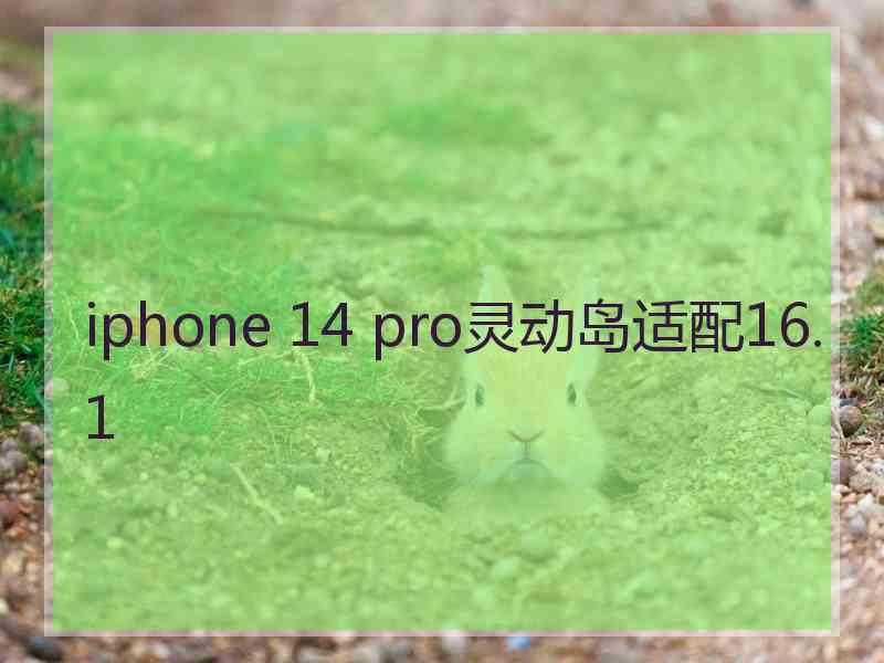 iphone 14 pro灵动岛适配16.1