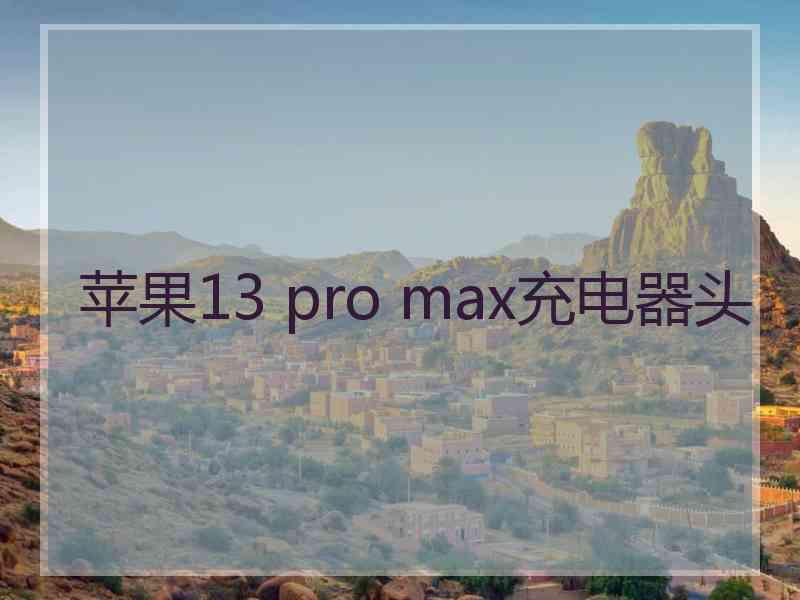 苹果13 pro max充电器头