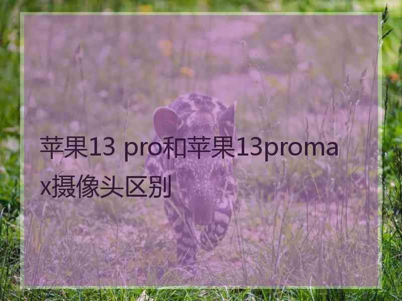 苹果13 pro和苹果13promax摄像头区别