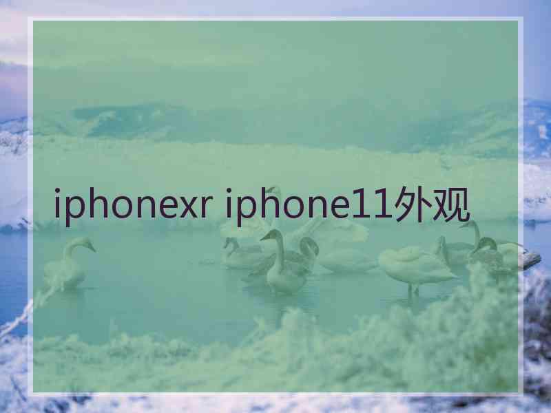 iphonexr iphone11外观