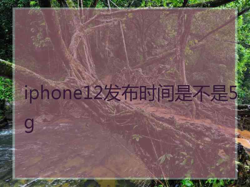 iphone12发布时间是不是5g