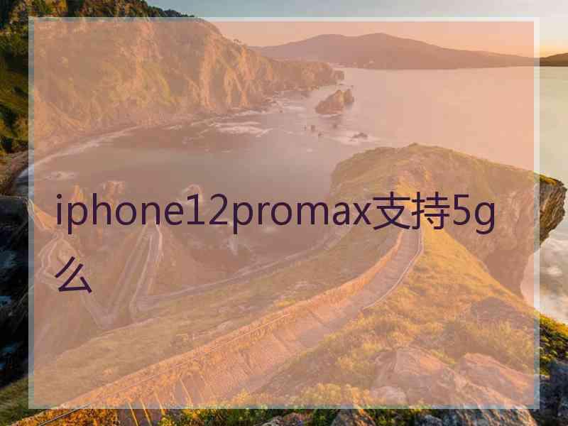 iphone12promax支持5g么