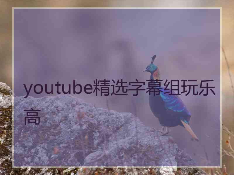 youtube精选字幕组玩乐高