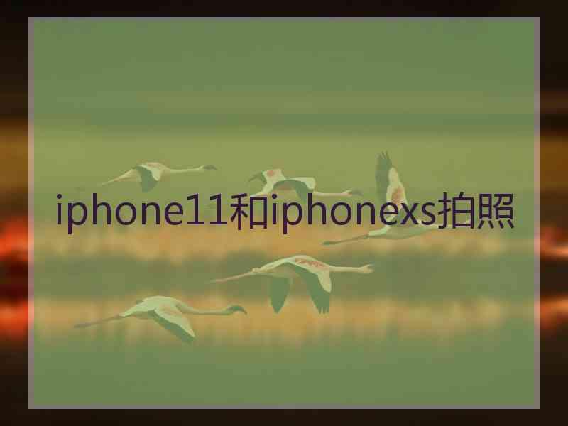 iphone11和iphonexs拍照