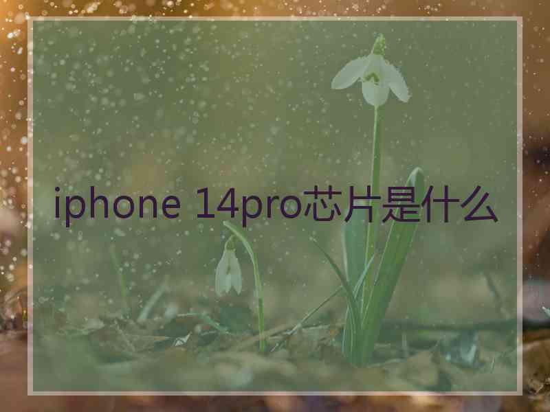 iphone 14pro芯片是什么