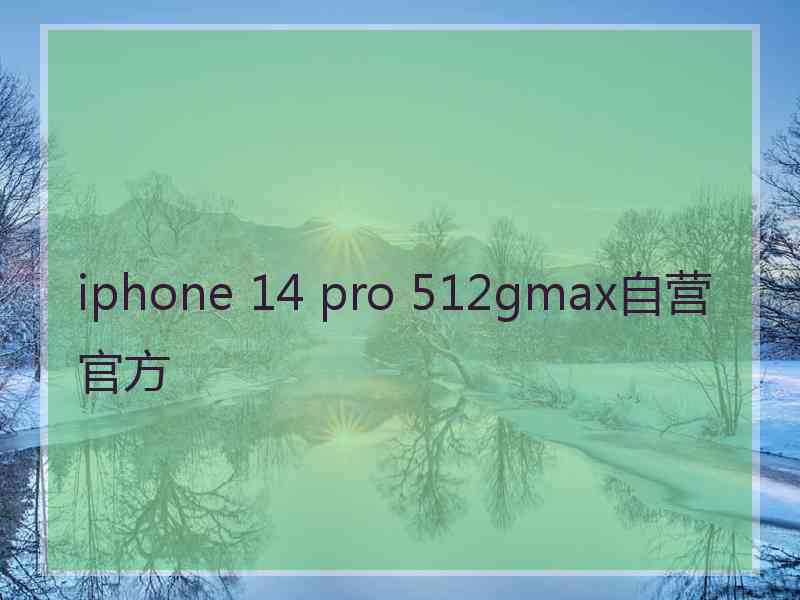 iphone 14 pro 512gmax自营官方