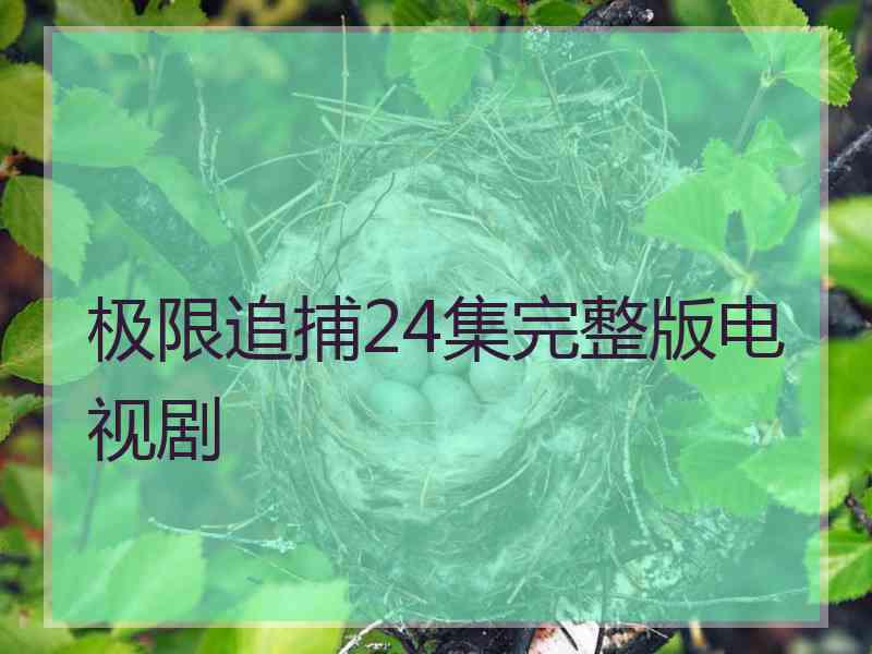 极限追捕24集完整版电视剧