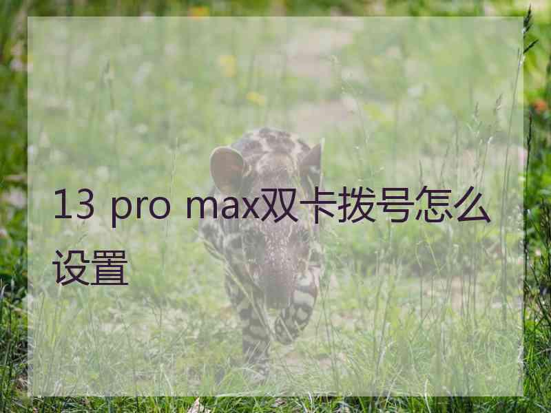 13 pro max双卡拨号怎么设置