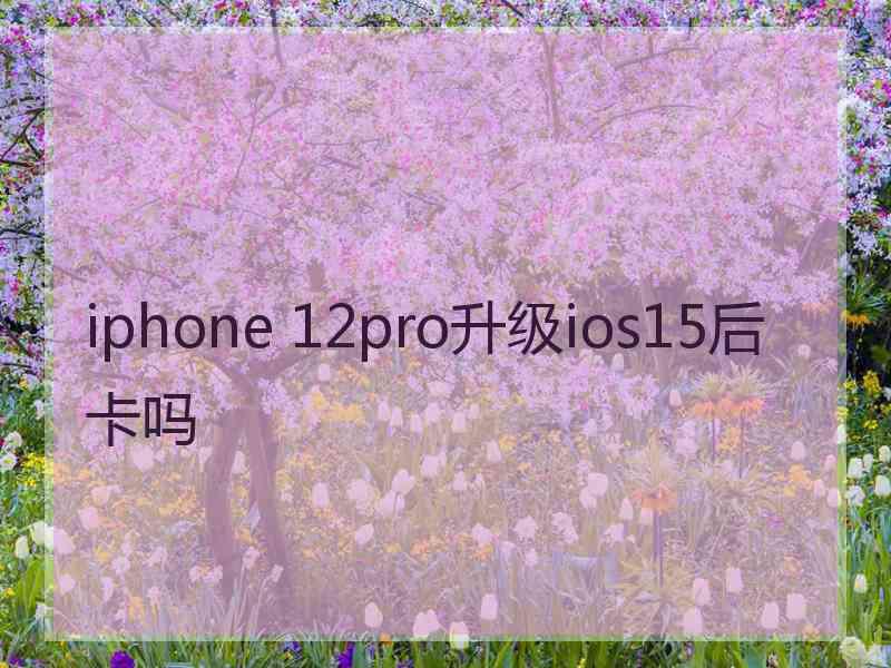 iphone 12pro升级ios15后卡吗