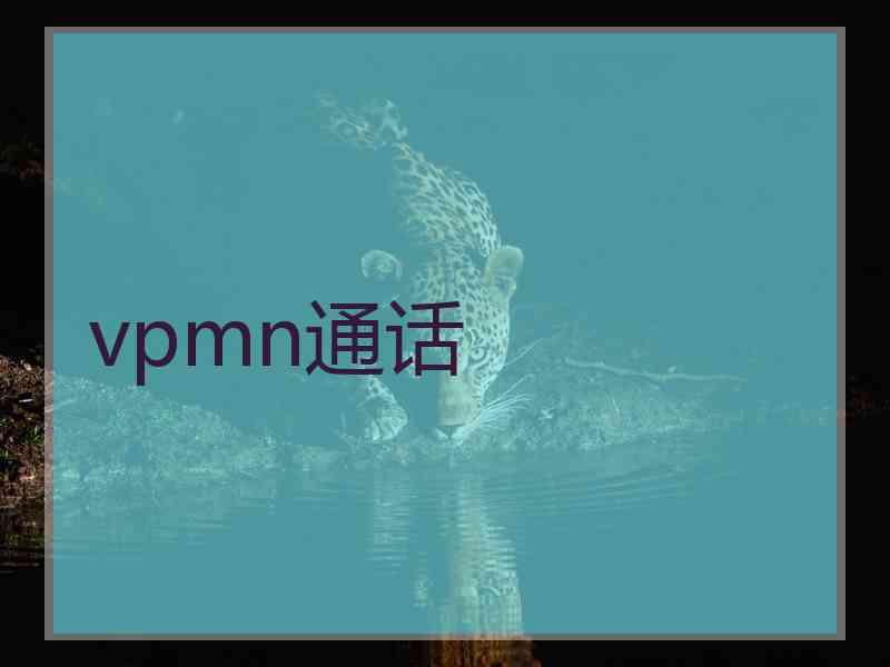 vpmn通话